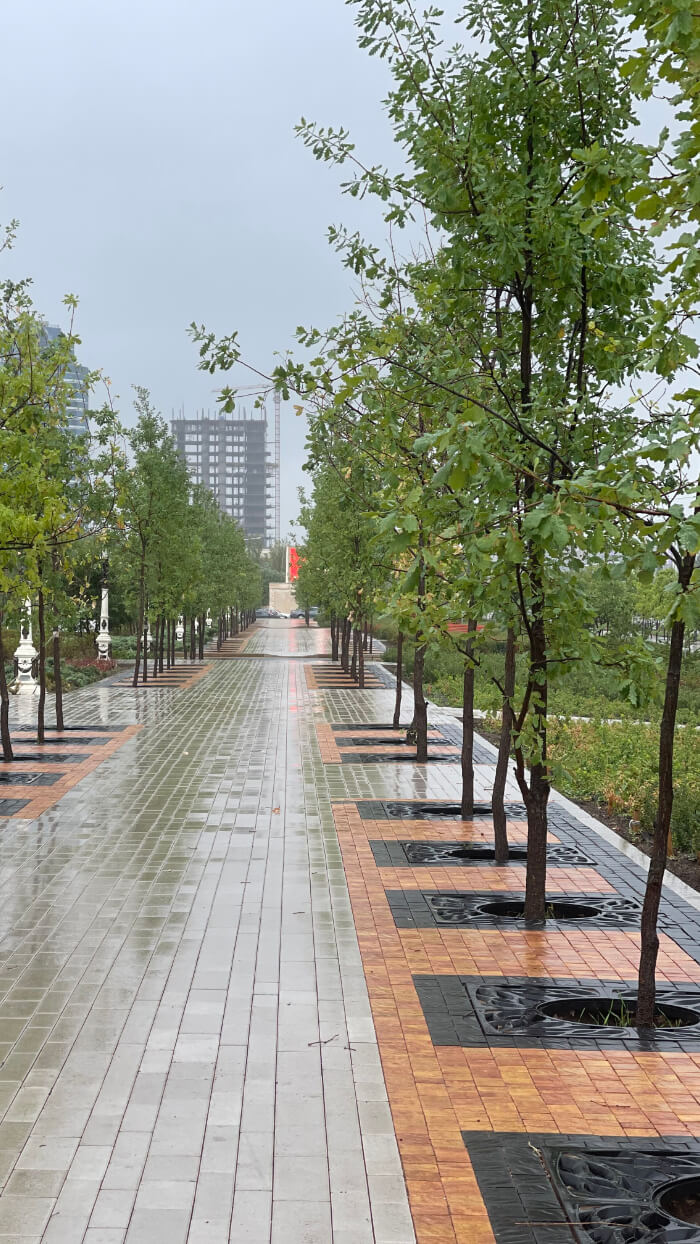 Приствольная решетка для дерева ZKING CRUST 1.2х1.2м Черная в Нефтеюганске фото