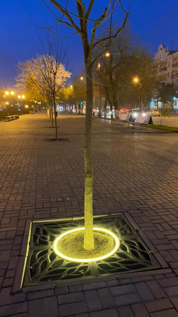 Приствольная решетка для дерева ZKING CRUST 1.2х1.2м Черная в Нефтеюганске фото